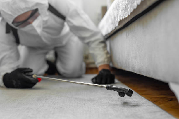 Professional Cockroach Control technician working in Calistoga, CA