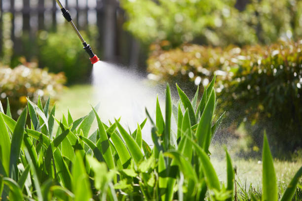 24/7 Emergency Cockroach Control experts in Calistoga, CA